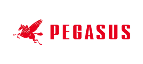 Pegasus