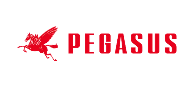 Pegasus