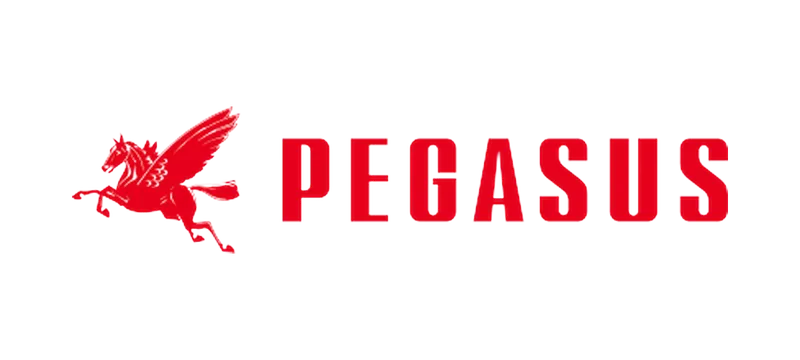 Pegasus